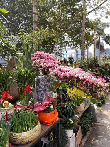 八卦岭花卉中心-"新年第一天来逛花市,这个花市在工业