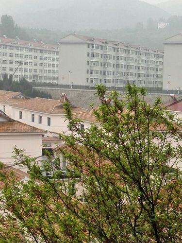 大寨村旅游景点攻略图
