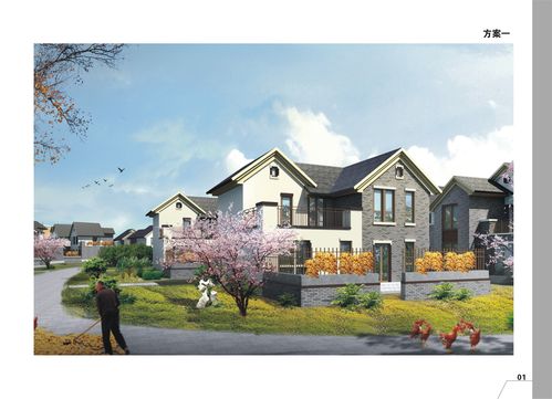 四川新农村建设农房设计方案图集川东北部分