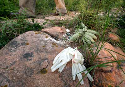 捡蘑菇老人发现少女尸体组图