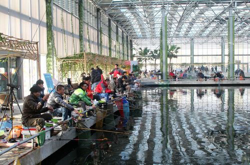 冬天室内钓鱼的好地方,这里的罗非鱼28块钱一斤