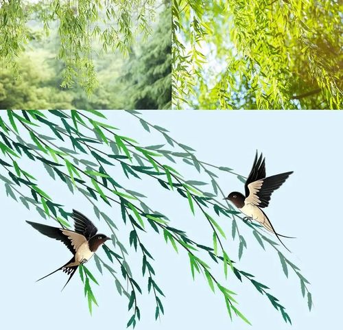 【马克笔水粉剪贴创意手绘】春天小燕子飞回来了