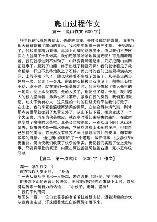 山作文之爬山过程作文.docx 4页