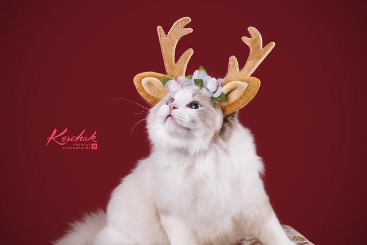 merryxmasandhappynewyear克查原创作品27