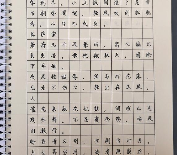 放心好店卫夫人簪花小楷纳兰性德饮水词体贴