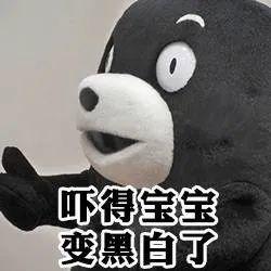 熊本熊表情包请问可以看下你的胖次吗