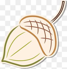 松子手绘图片大全