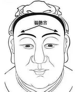 面相十二宫具体位置及代表意义