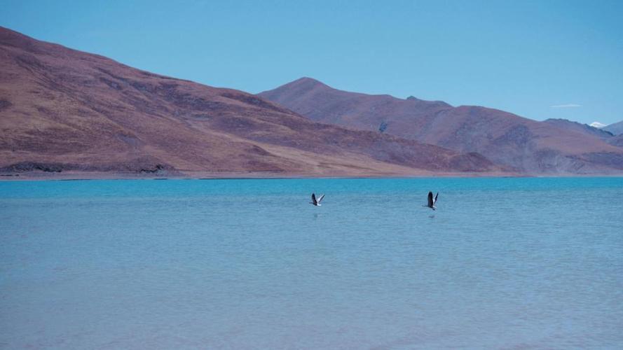 西藏羊卓雍错湖水风光,高清壁纸,风景图片-回车桌面