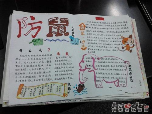 灭鼠蚊蝇防治宣传画手抄报 宣传手抄报