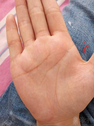 免费拍照看手相算命在线