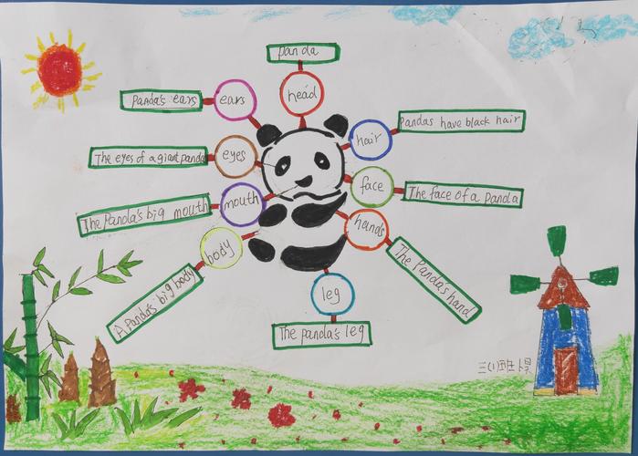 形象直观,图文并茂—小学部三年级组英语思维导图绘制
