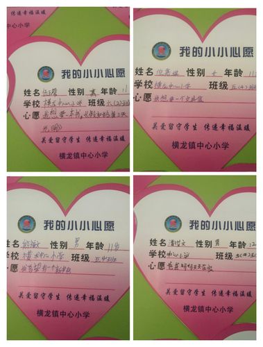 关爱留守学生 传递幸福温暖 ——横龙小学幸福伙伴关系之"留守学生微