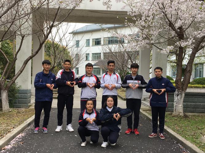 寄给抗疫前线李婷婷姐姐的信(二)-上海市朱家角中学