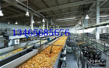 热销全自动油炸流水线 卓尔机械