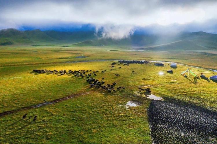 四川阿坝若尔盖湿地