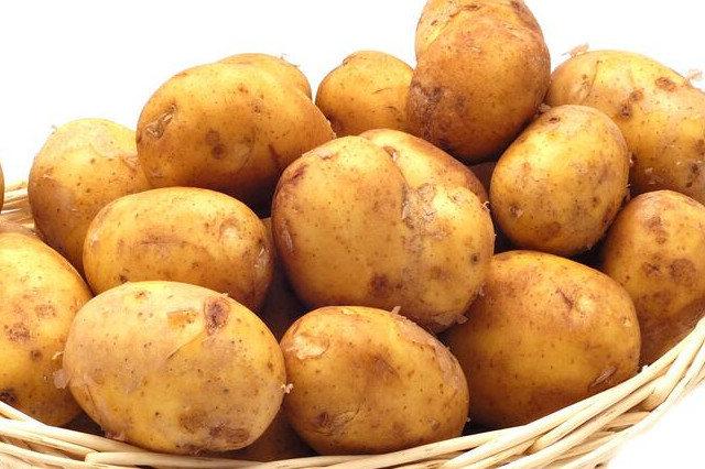 定西十大特产 定西有什么特产 定西什么特产值得买