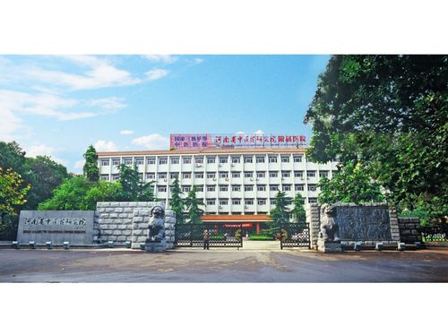 河南省中医药研究院附属医院2020年中医住院医师规范