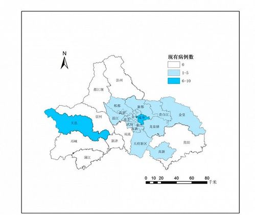 全市疫情地图如下: 成都市区(市)县疫情分区分级地图