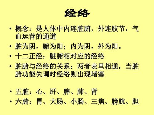 非常简单使用的经络图,包含经络走向动画,非常容易学习记忆.