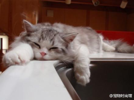 【7】好累哦,好想睡觉觉