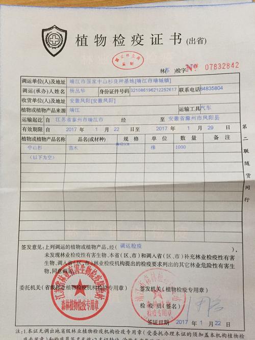 进场苗木检疫合格证