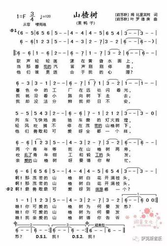 【山楂树】 50年代苏联经典爱情歌曲(深情.唯美次中音