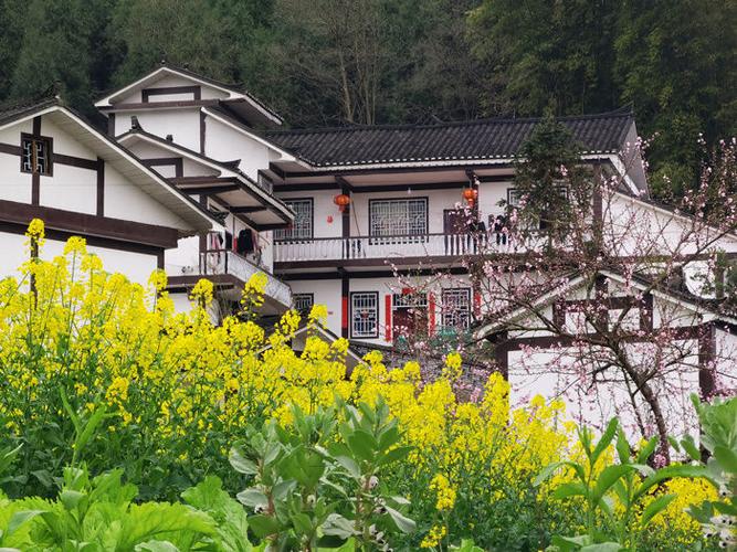 黔北民居风景如画为难:当"萝卜白菜,各有所爱"湄潭县通过10多年的