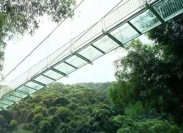 玻璃栈桥突然碎裂!珠海很多人也去过!游客直接吓瘫.