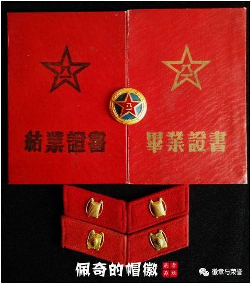 原创|"共和国70年"专题:人民军队帽徽系列20——兵种符号之防化兵!