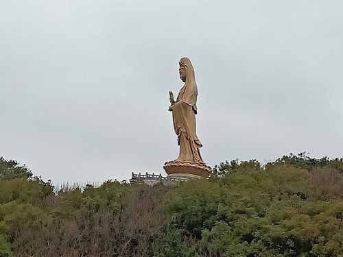 普陀山,财神谷一游