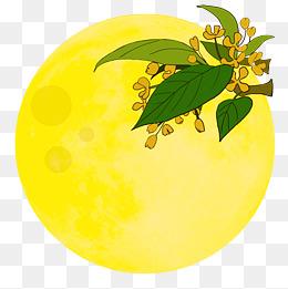 手绘花好月圆插画