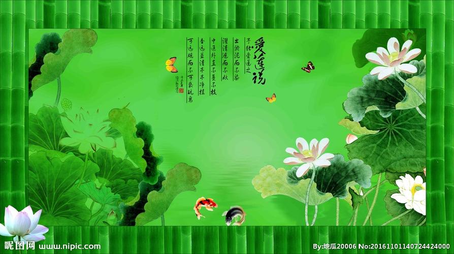 荷花双鱼图图片