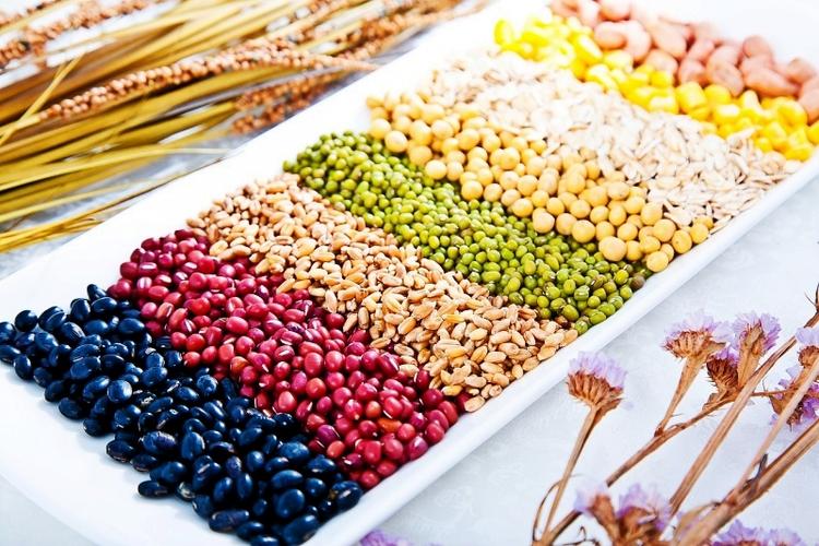 科学认识和食用豆类