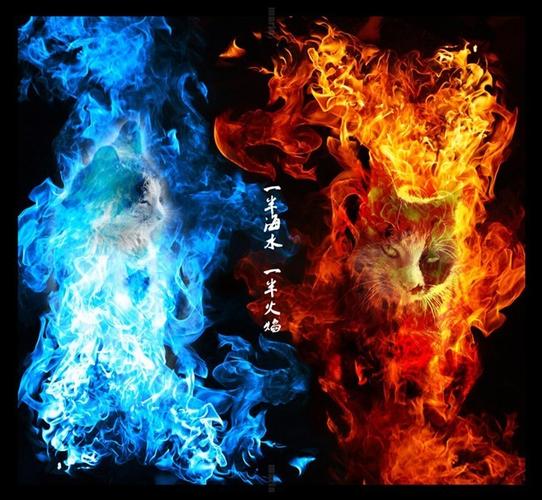 一半海水 一半火焰人评道:火引冰薪 一个如猫般的女子,魅影,灵动,神秘