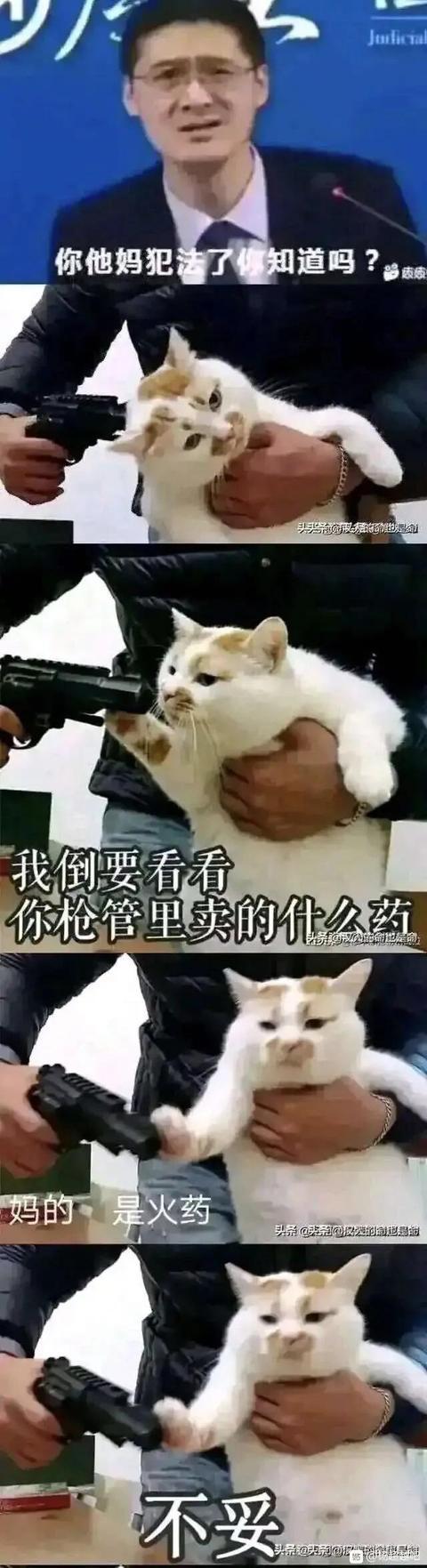 笑死人不偿命系列我已笑趴了