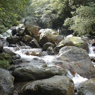 大自然风景微信头像 森林小溪山间流水图片