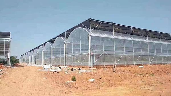 玉溪哪里有新式温室大棚造价