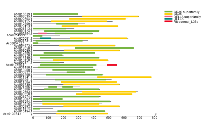 tbtools基因家族分析详细教程(1)