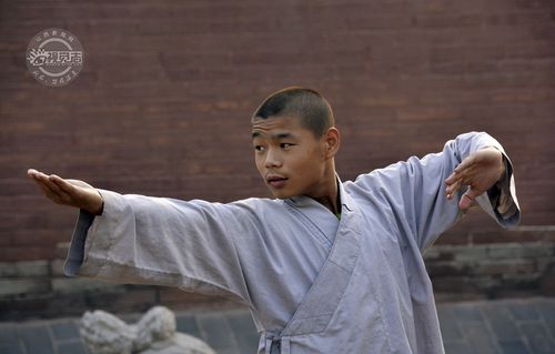 【图片故事】少林小和尚的文武生活 (15/21)