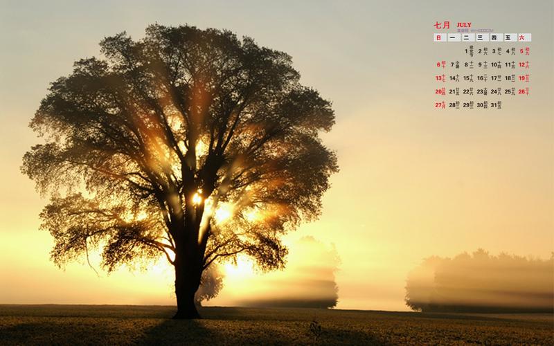 2014年7月日历壁纸日出与树光影唯美意境风光