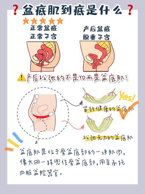 辣妈攻略|全职带娃忙,在家恢复盆底肌!