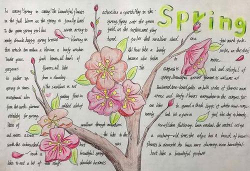 全国一等奖英语手抄报 英语手抄报