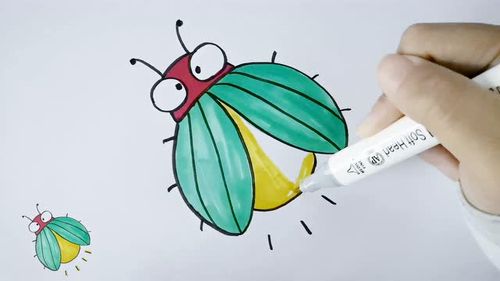 会发光的小飞虫,萤火虫简笔画画法