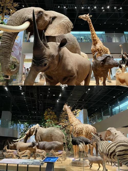 打卡//安吉·浙江自然博物馆 安吉分馆_休闲玩乐_自然