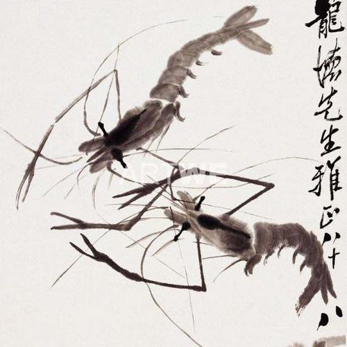 齐白石再传弟子-少白汤发周揭秘:为什么齐白石画虾是最经典的?