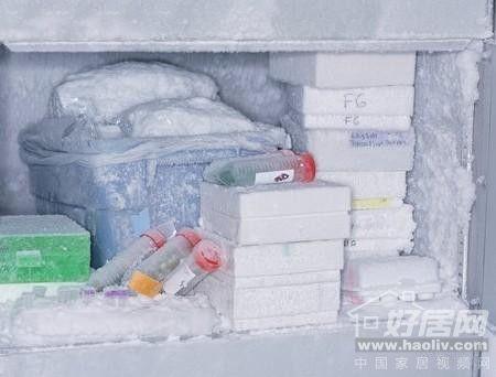 冬季清除冰箱霜冻3点方法