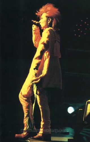 hide 