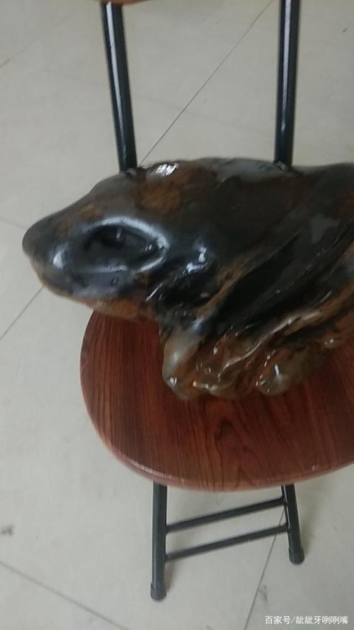 十二生肖之一蛇头