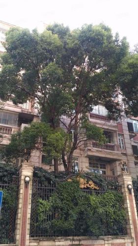 上海二手房 宝山二手房 淞宝二手房 宝莲府邸(公寓住宅)